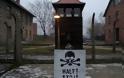Πολωνία: Ψηφίστηκε σχέδιο νόμου, για το Ολοκαύτωμα το οποίο προκαλεί σφοδρές διεθνείς αντιδράσεις [Βίντεο]