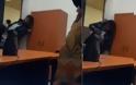 Ελληνικά Πανεπιστήμια Ώρα Μηδέν- Άνδρας κάνει χρήση ναρκωτικών μέσα στο Οικονομικό Πανεπιστήμιο [Βίντεο ντοκουμέντο]