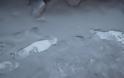 Σιβηρία: Έπεσε μαύρο χιόνι – Τι λένε οι ειδικοί