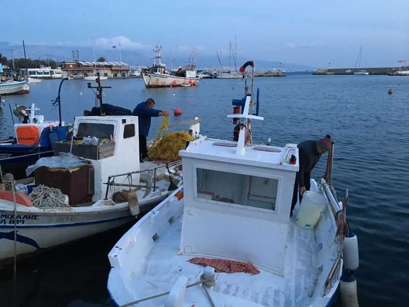 Σαρωνικός «SOS» από τους αλιείς: Είμαστε με τρία ευρώ στην τσέπη, δεν μας αφήνουν να ψαρέψουμε! - Φωτογραφία 6