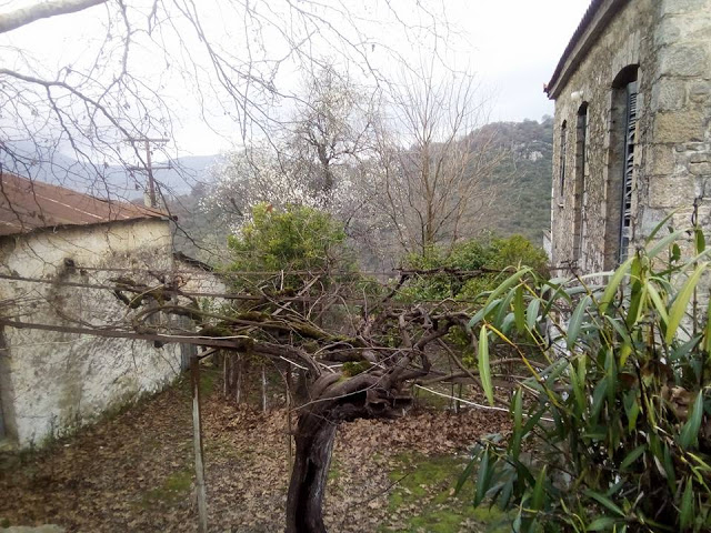 Συννεφιά και κρύο σήμερα στον ΠΡΟΔΡΟΜΟ Ξηρομέρου (ΦΩΤΟ) - Φωτογραφία 18