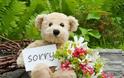 Το «πρωτόκολλο» της συγγνώμης