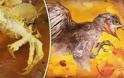 Άφωνοι οι αρχαιολόγοι: Ανακαλύφθηκε προϊστορικό πουλί παγιδευμένο μέσα σε κεχριμπάρι