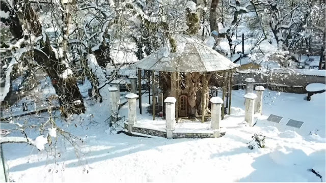 Video: Το μοναδικό εκκλησάκι της Ελλάδας που βρίσκεται μέσα στο κοίλωμα (κουφάλα) ενός τεράστιου πλατάνου - Φωτογραφία 1