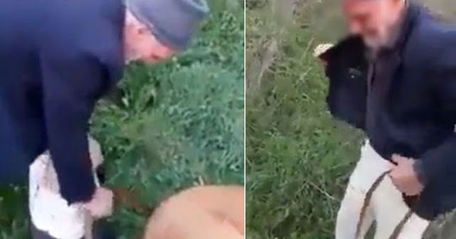 Τούρκος ακινητοποιεί αδέσποτο σκύλο και τον βιάζει έξω από τζαμί [Βίντεο] - Φωτογραφία 1