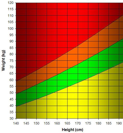 Ποιο είναι το ιδανικό βάρος ανάλογα με το ύψος σας [πίνακας] - Φωτογραφία 2