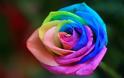 Δείτε το πιό όμορφο και περίεργο τριαντάφυλλο του κόσμου... [photo] - Φωτογραφία 2