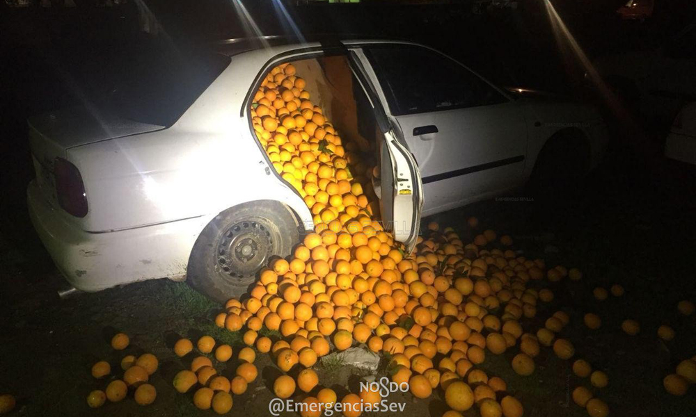Έκλεψαν 4 τόνους πορτοκάλια και τα φόρτωσαν σε Ι.Χ.! - Φωτογραφία 1