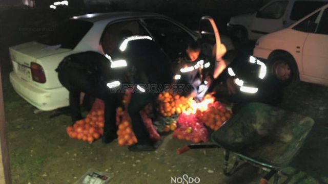 Έκλεψαν 4 τόνους πορτοκάλια και τα φόρτωσαν σε Ι.Χ.! - Φωτογραφία 3