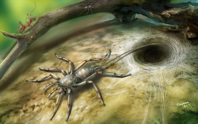 Αράχνη με ουρά εντοπίστηκε σε κεχριμπάρι 100 εκατ. ετών - Φωτογραφία 1