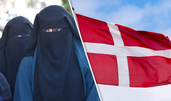 Η Δανία απαγορεύει τη μπούρκα και το νικάμπ σε δημόσιους χώρους. - Φωτογραφία 1