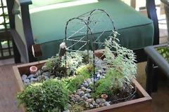 Πώς να φτιάξετε έναν κήπο… μινιατούρα!