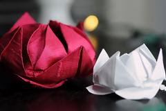 Έφτιαξαν τον Λευκό Πύργο με 40.000 νούφαρα Origami [ΦΩΤΟ & ΒΙΝΤΕΟ]