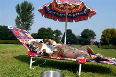 ΔΕΙΤΕ: Καύσωνας στο ζωολογικό κήπο