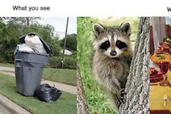 Πως βλέπουν τα πράγματα οι άνθρωποι vs πως τα βλέπουν τα ζώα