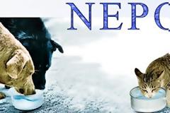 Εκδήλωση την  5η Ιουνίου για την Παγκόσμια Ημέρα Περιβάλλοντος, στο δήμο Πυλαίας - Χορτιάτη