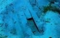 Δύο ρωμαϊκά ναυάγια έκρυβε ο βυθός της Κέρκυρας