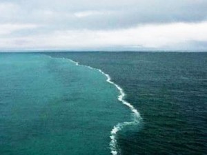 Μοναδικό φαινόμενο,εκεί που η Βαλτική συναντά τη Βόρειο θάλασσα - Φωτογραφία 1