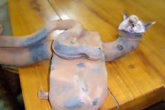 Επτάψυχη γάτα βρέθηκε στον κινητήρα αυτοκινήτου