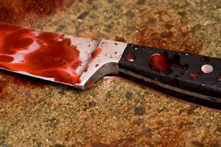 Νεκρή με 18 μαχαιριές 27χρονη τοξικομανής στην Κάλυμνο - Φωτογραφία 1
