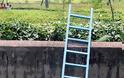 Λεοπάρδαλη διασώζεται ανεβαίνοντας μια σκάλα! - Φωτογραφία 4