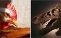 Οι απόγονοι των δεινοσαύρων είναι τα πτηνά!