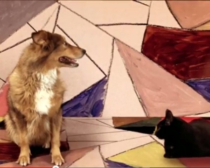 VIDEO: Σκύλος και γάτα... τραγουδούν το Somebody that i used to know - Φωτογραφία 1