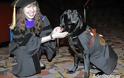 Σκύλος-οδηγός βοήθησε τυφλή κοπέλα να πάρει το πτυχίο της