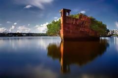 ΔΕΙΤΕ: Πλοίο μετατράπηκε κυριολεκτικά σε… δάσος!