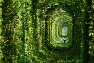 Τι θα λέγατε για μια βόλτα στο «τούνελ της αγάπης»; (pics) - Φωτογραφία 1