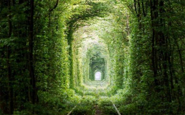 Τι θα λέγατε για μια βόλτα στο «τούνελ της αγάπης»; (pics) - Φωτογραφία 2