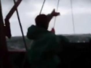 Σοκ έπαθαν ψαράδες με την ψαριά τους… [video] - Φωτογραφία 1