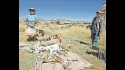 Τερατογενέσεις και θάνατοι ζώων, βαρέα μέταλλα στους ανθρώπους: το μεταλλείο χαλκού Tintaya στο Περού - Φωτογραφία 3