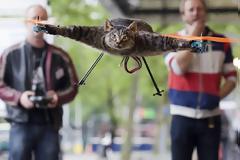 Έκανε την νεκρή γάτα του κατευθυνόμενο ελικοπτεράκι!