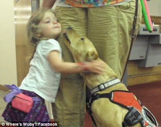 Συγκλονιστική ιστορία: 3χρονη διαβητική είναι ζωντανή χάρις στο σκύλο της - Φωτογραφία 4