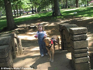 Συγκλονιστική ιστορία: 3χρονη διαβητική είναι ζωντανή χάρις στο σκύλο της - Φωτογραφία 5