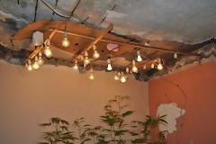 Λαμία: Έκαναν το δωμάτιο θερμοκήπιο για την καλλιέργεια χασίς!