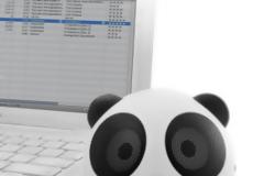 Για τους Panda lovers