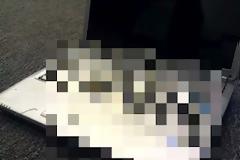 Έβαλε το Notebook στον φούρνο…