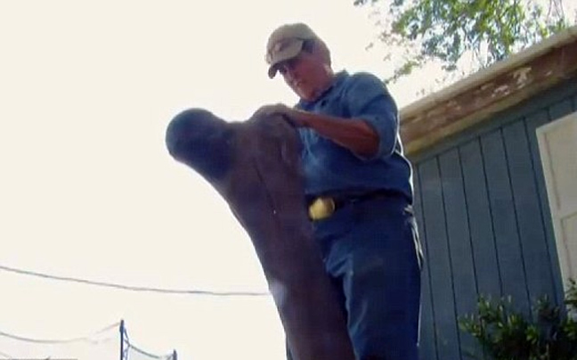 ΑΠΙΣΤΕΥΤΟ VIDEO: Βρήκαν σκελετό μαμούθ στην αυλή τους! - Φωτογραφία 2