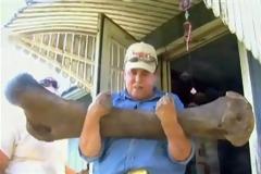 ΑΠΙΣΤΕΥΤΟ VIDEO: Βρήκαν σκελετό μαμούθ στην αυλή τους!