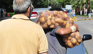 Συνεχίζεται το κίνημα της πατάτας στο Ναύπλιο. - Φωτογραφία 1