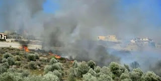 Βίντεο από την φωτιά στα Λευκάκια Αργολίδας - Φωτογραφία 1