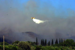 Τεράστιες καταστροφές στο Ναύπλιο από τις πυρκαγιές - Φωτογραφία 1