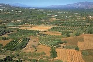 Αποζημιώσεις μέσω ΕΛΓΑ για τους παραγωγούς της Κρήτης - Φωτογραφία 1