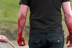 Σοκαριστικές φωτογραφίες από την απίστευτη σφαγή των φαλαινών