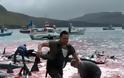Σοκαριστικές φωτογραφίες από την απίστευτη σφαγή των φαλαινών - Φωτογραφία 4