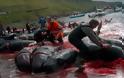 Σοκαριστικές φωτογραφίες από την απίστευτη σφαγή των φαλαινών - Φωτογραφία 8