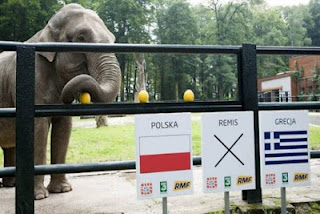 Euro 2012: Ο ελέφαντας έδειξε Πολωνία! - Φωτογραφία 1