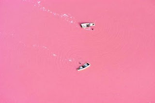 Ροζ λίμνη βαμμένη από βακτήρια - Φωτογραφία 1